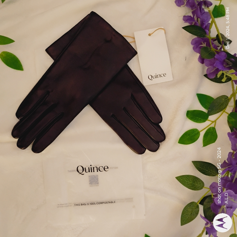 Quince Women's Black Gloves